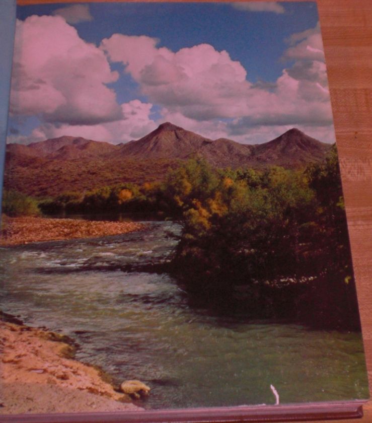 includes the phoenix zoo nogales the grand canyon arizona livestock 