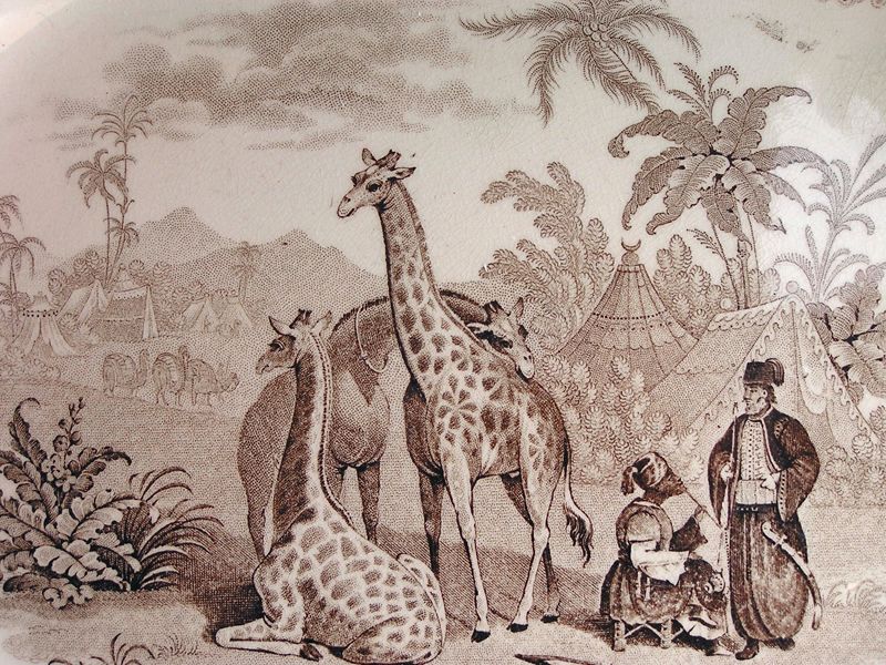 Staffordshire Ridgway Brown Transferware ~ GIRAFFE ~ Platter c1836 NR 