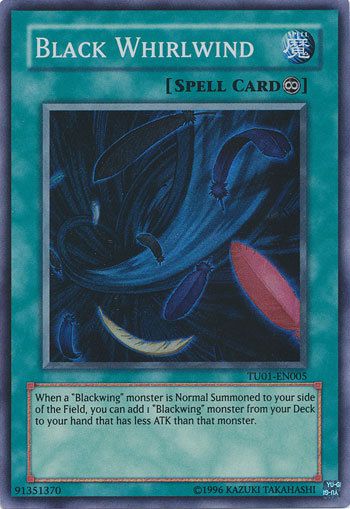 Black Whirlwind x 2   RGBT EN051   Yu Gi Oh TCG  