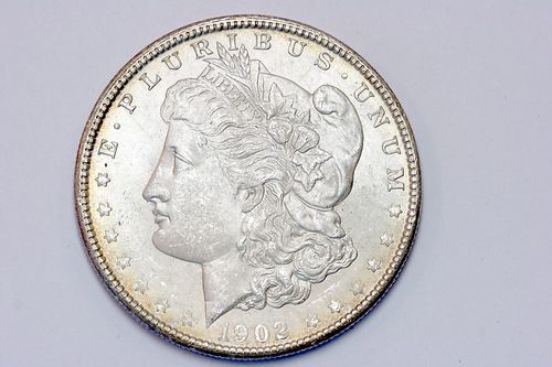 Fairly Nice Album Toned 1902 O Morgan Silver Dollar MS  