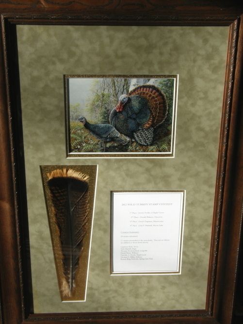 ORIGINAL PAINTING WILD TURKEY  ACRILIC  2ND PLACE  