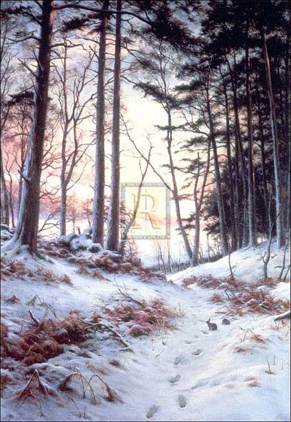 JOSEPH FARQUHARSON Afterglow WINTER sun light glade  