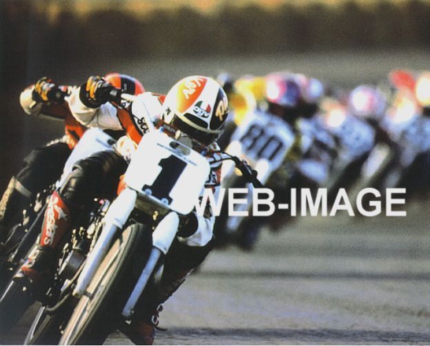 1998 AMA SCOTT PARKER  HARLEY DAVIDSON MOTORCYCLE PHOTO  