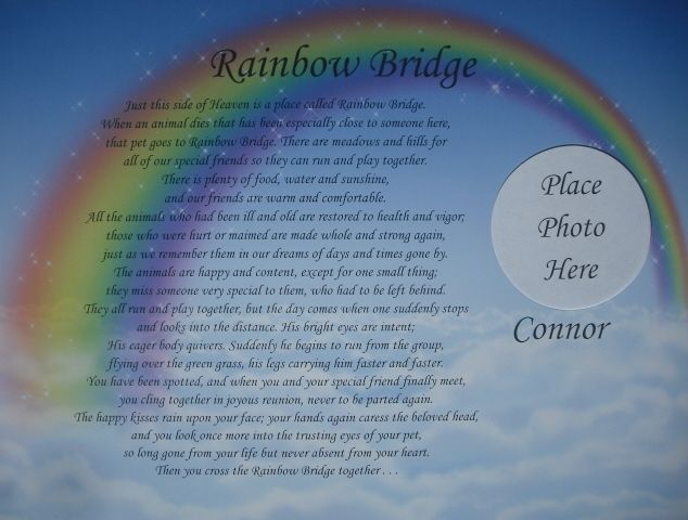 RAINBOW BRIDGE MEMORIAL POEM IN LOVING MEMORY OF BELOVED PET LOSS OF 