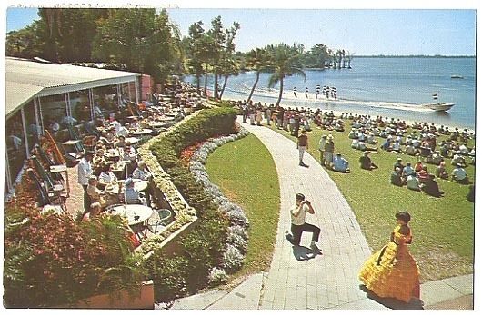 Vintage Chrome Postcard Terrace Cypress Gardens Florida  