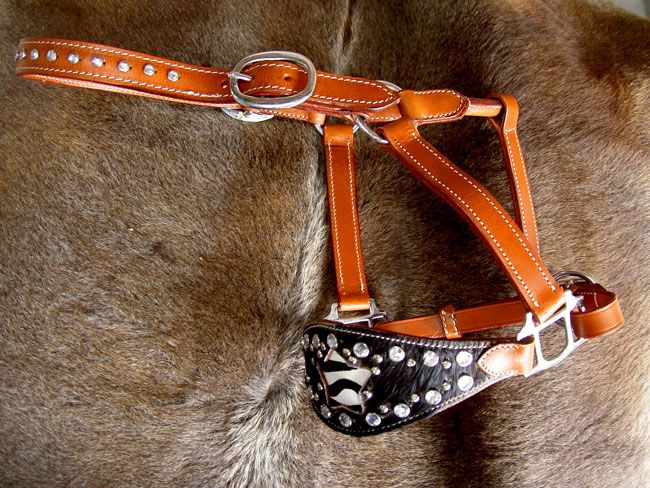 HALTER SADDLE BRONC HAIR ON CLEAR TAN TACK ZEBRA BLING  