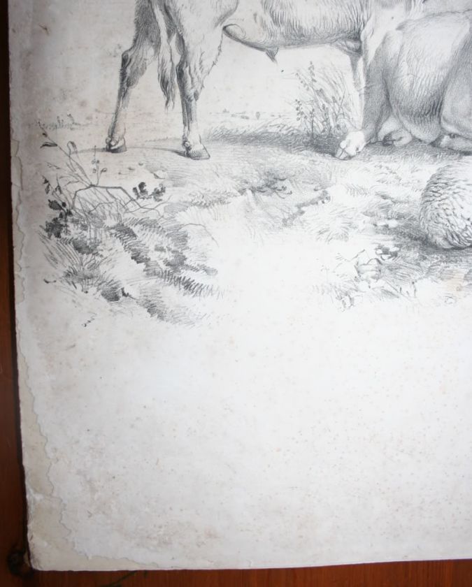 1845~Thomas Sydney Cooper~Cattle Subjects~20 Plates  