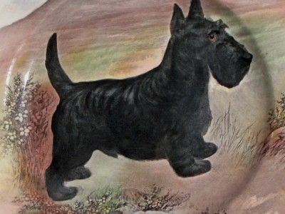 ROYAL DOULTON COLLECTOR PLATE TERRIER SCOTTY DOG D6304  