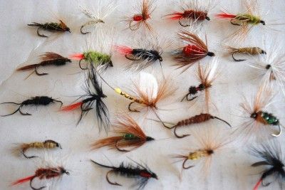 Lot New Custom Fly Fishing Flies Trout Lures Bugs  