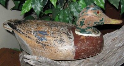   Vintage Mallard Drake Decoy Attributed To Ben Schmidt, Centerline, MI