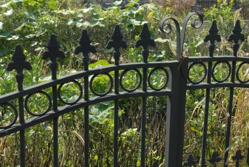 Iron Estate Driveway Gates  