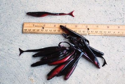 New Dozen Lures Plastic Fish Super Fluke Soft Bait Shad  